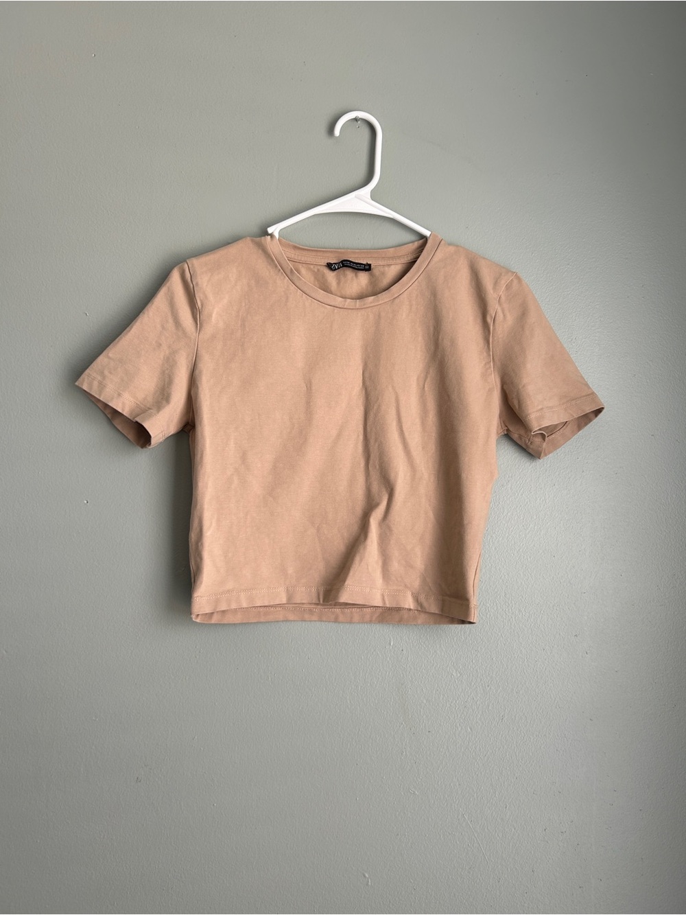 Zara Neutral Tan Crewneck Crop Top